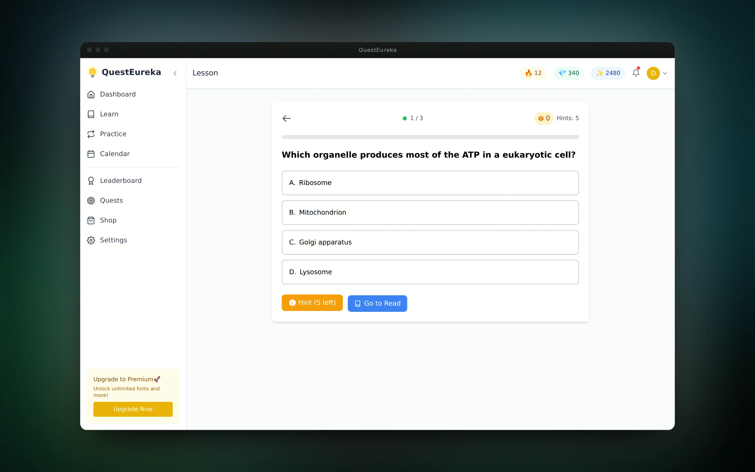 Quick multiple-choice checks with hints